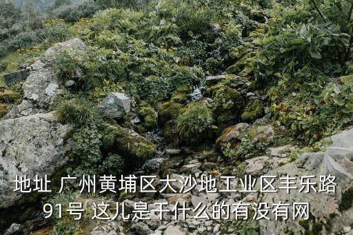 地址 廣州黃埔區(qū)大沙地工業(yè)區(qū)豐樂路91號 這兒是干什么的有沒有網(wǎng)