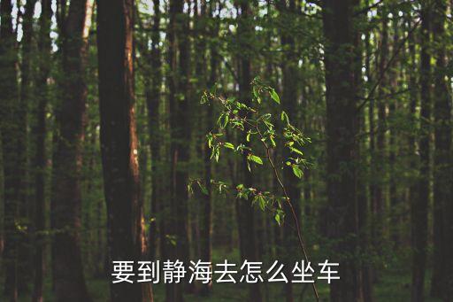 廣州到靜海坐什么公交車，市區(qū)到靜海東雙塘工業(yè)區(qū)104國(guó)道155公里處 坐車怎么去