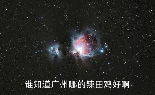 誰知道廣州哪的辣田雞好啊