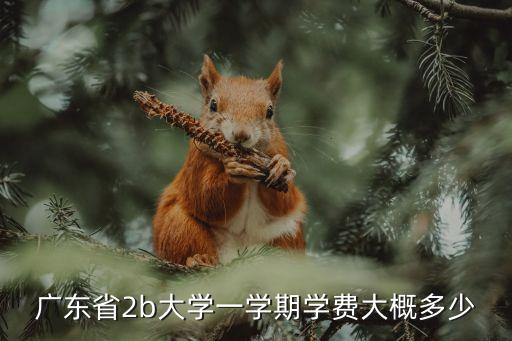 廣州科技職業技術大學2b學費，廣東省2b大學一學期學費大概多少
