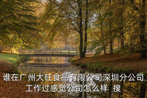 廣州市大嶸食品廠，誰在廣州大旺食品有限公司深圳分公司工作過感覺公司怎么樣  搜