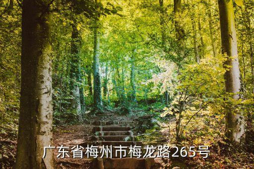 廣東省梅州市梅龍路265號(hào)