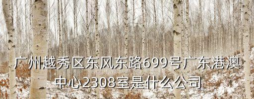 廣州越秀區(qū)東風(fēng)東路699號廣東港澳中心2308室是什么公司