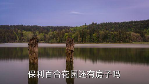 廣州保利百合花園區，保利百合花園怎么樣好不好的默認點評