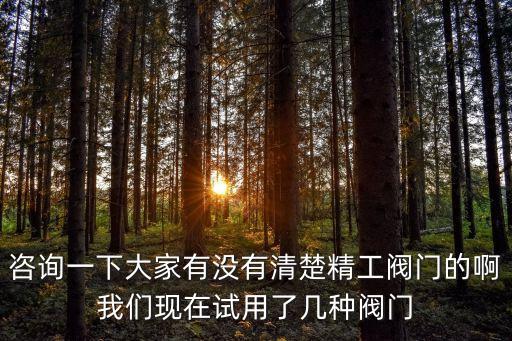 咨詢一下大家有沒有清楚精工閥門的啊我們現(xiàn)在試用了幾種閥門