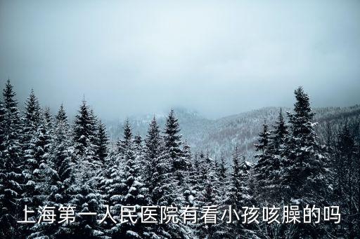 上海市第一人人民醫院兒科，上海第一人民醫院有看小孩咳臊的嗎
