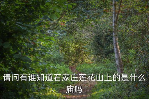 請問有誰知道石家莊蓮花山上的是什么廟嗎
