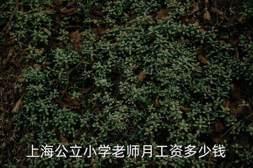 上海公立小學老師月工資多少錢