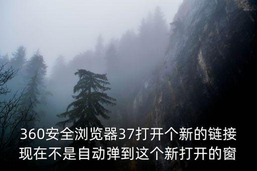 360安全瀏覽器37打開個新的鏈接現在不是自動彈到這個新打開的窗