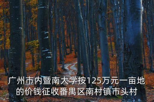 廣州市南村拆遷，廣州市番禺區南村鎮城中村改造計劃