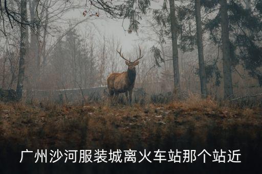 廣州沙河離哪個動車站比較近，廣州北離沙河近還是南站離沙河近