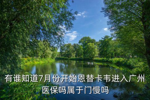 有誰知道7月份開始恩替卡韋進入廣州醫(yī)保嗎屬于門慢嗎