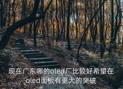 oled廣州廠，現(xiàn)在廣東哪的oled廠比較好希望在oled面板有更大的突破