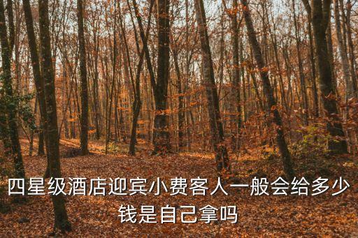 上海市星級酒店小費給多少，請問上海的五星酒店一般小費收取標準比如拿行李送餐服務等