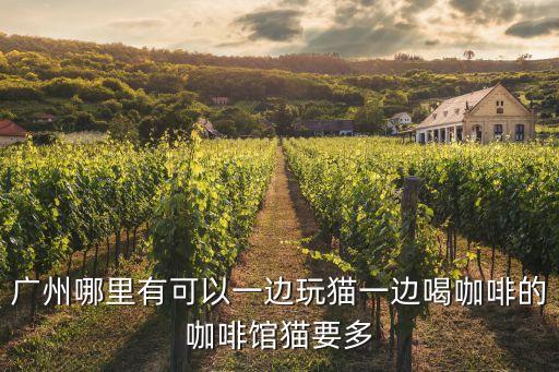 廣州哪里有可以一邊玩貓一邊喝咖啡的咖啡館貓要多
