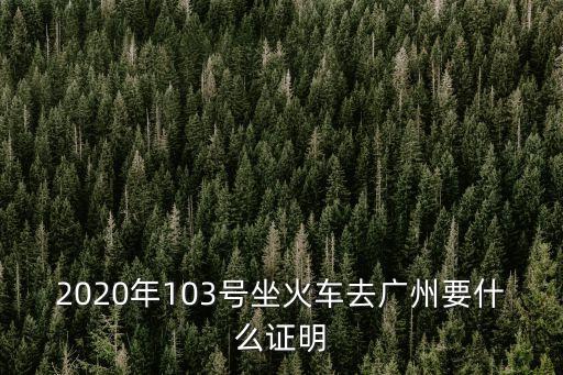 2020年103號坐火車去廣州要什么證明