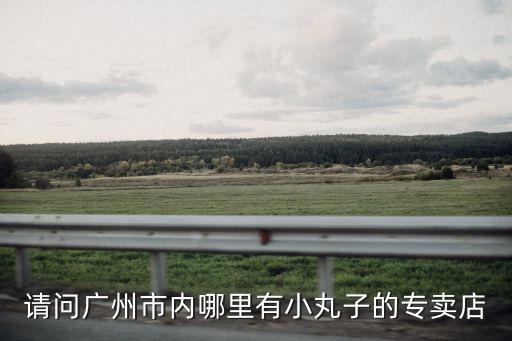 廣州哪里有賣黑芝麻丸，請問廣州市內哪里有小丸子的專賣店