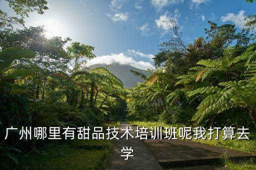 廣州哪里有甜品技術培訓班呢我打算去學