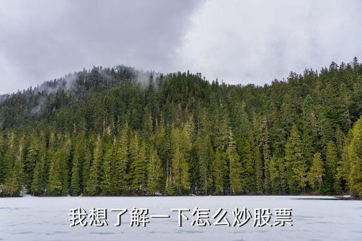 我想了解一下怎么炒股票