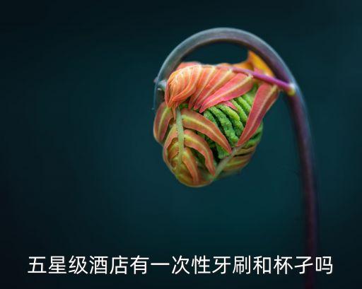 五星級(jí)酒店有一次性牙刷和杯孑嗎