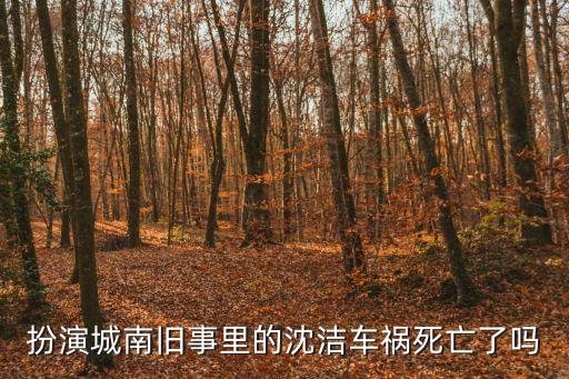 扮演城南舊事里的沈潔車禍死亡了嗎