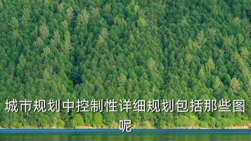 上海市控制性詳細規劃圖，讀上海市規劃示意圖回答4分每空1分 1自來水廠的