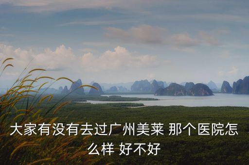 廣州美萊的口碑，廣州美萊整容到底好不好啊有沒有人去過的