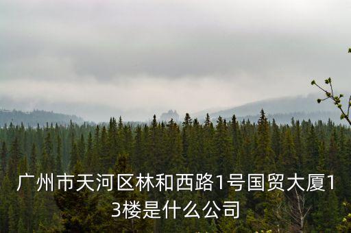 廣州市天河區林和西路1號國貿大廈13樓是什么公司