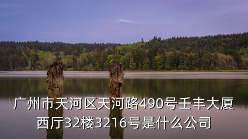 廣州市天河區天河路490號壬豐大廈西廳32樓3216號是什么公司