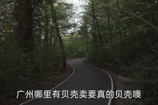 廣州哪里有貝殼賣要真的貝殼噢