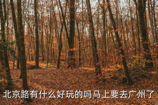 北京路有什么好玩的嗎馬上要去廣州了