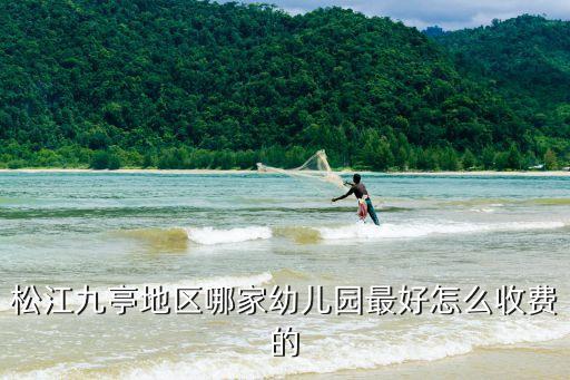 松江九亭地區(qū)哪家幼兒園最好怎么收費的