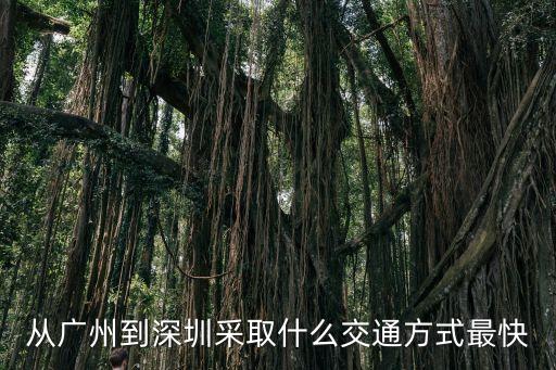 從廣州到深圳采取什么交通方式最快