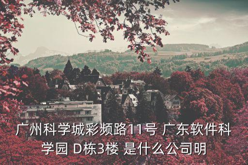 廣州天繪電子有限公司，廣州科學城彩頻路11號 廣東軟件科學園 D棟3樓 是什么公司明