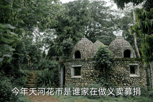 廣州市連州商會捐款，今年天河花市是誰家在做義賣募捐
