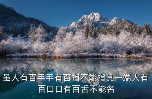 雖人有百手手有百指不能指其一端人有百口口有百舌不能名