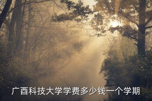 廣酉科技大學學費多少錢一個學期