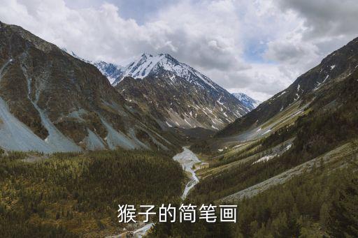 簡筆動物，爬行動物的簡筆畫
