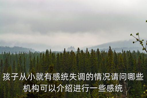 孩子從小就有感統失調的情況請問哪些機構可以介紹進行一些感統