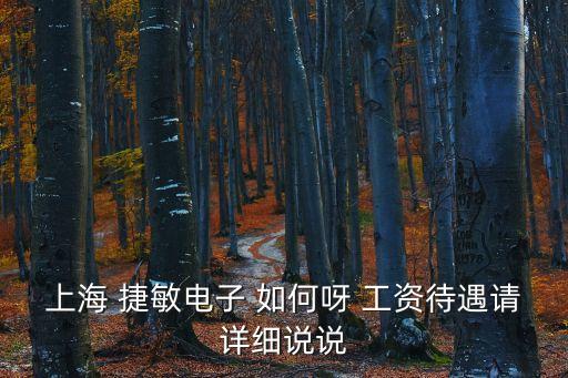 上海 捷敏電子 如何呀 工資待遇請詳細說說