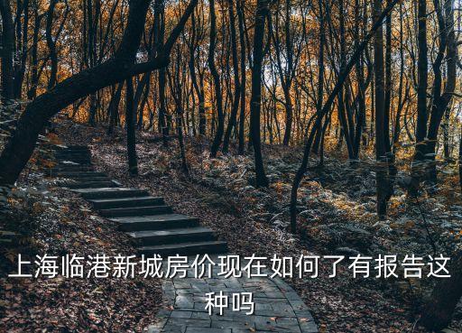 上海市臨港新城房價信息，臨港新城老蘆公路江山路樓盤現在新房房價是多少錢一個平方