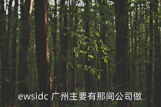 ewsidc 廣州主要有那間公司做