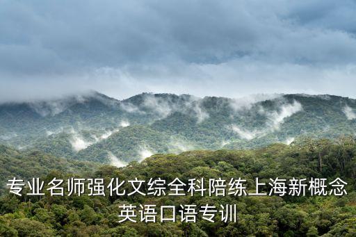 專業名師強化文綜全科陪練上海新概念英語口語專訓