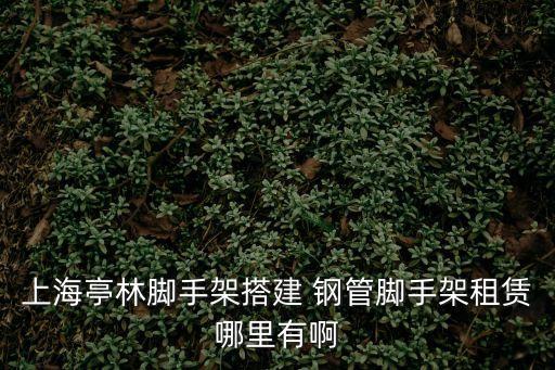 上海亭林腳手架搭建 鋼管腳手架租賃哪里有啊