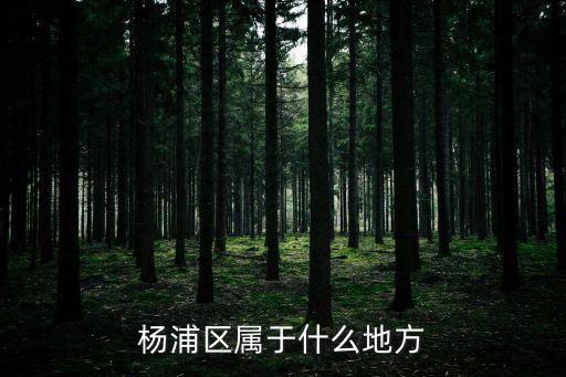 楊浦區屬于什么地方