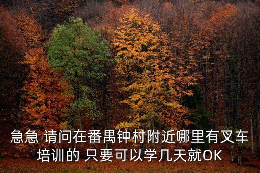 急急 請問在番禺鐘村附近哪里有叉車培訓(xùn)的 只要可以學(xué)幾天就OK