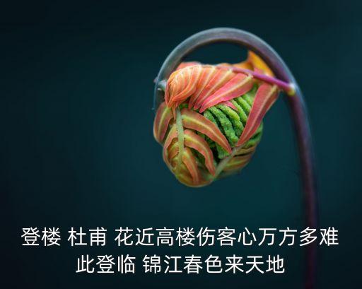 萬方多難此登臨，登樓 杜甫 花近高樓傷客心萬方多難此登臨 錦江春色來天地