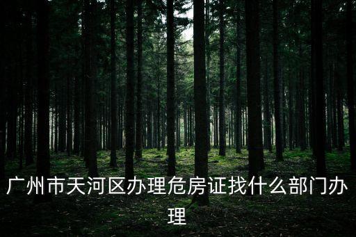 廣州市中心危房改造，廣州市花都區申請危房改造要那里審批呢