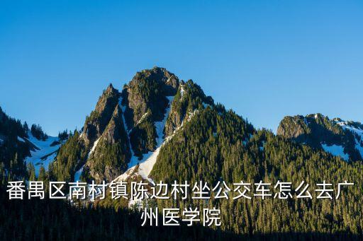 廣州醫科大學番禺校區在哪個村，請問廣州醫學院新造校區在哪