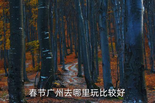 春節(jié)廣州去哪里玩比較好